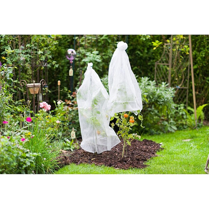 Windhager Tomatenhaube Vliesschlauch Öko (L x B: 10 x 0,75 m, Weiß)