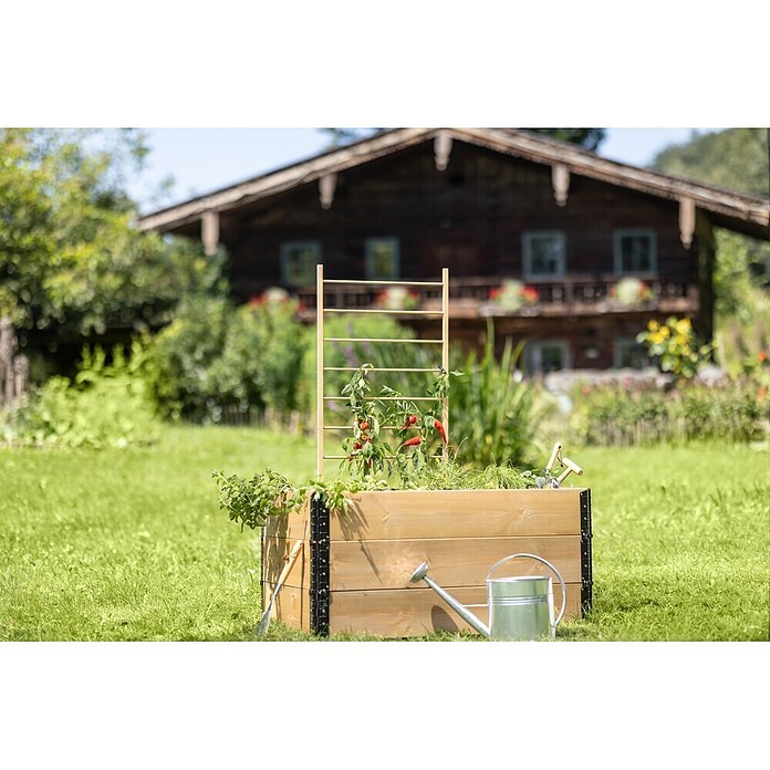Windhager Rankhilfe Holzleiter (80 x 170 cm, Holz, Hellbraun) | BAUHAUS