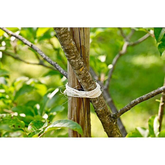 Windhager Sisalseil (Ø x L: 2,5 mm x 150 m, Langlebig) | BAUHAUS