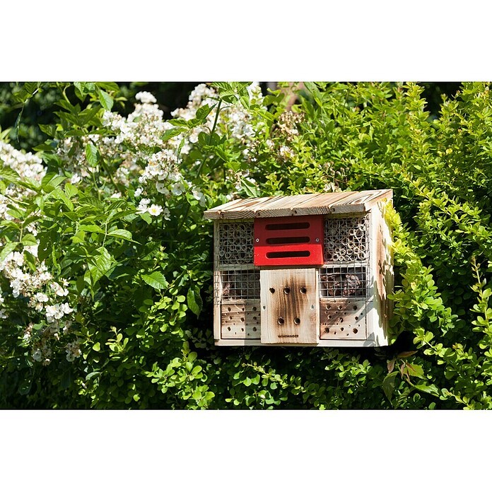 Windhager Insektenhotel Zur Linde (30 x 13,5 x 27 cm, Naturbraun/Rot)