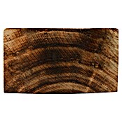 Windhager Nistholz (L x B x H: 12,5 x 8 x 30 cm, Geeignet für: Wildbienen, Massivholz, Geflammt)