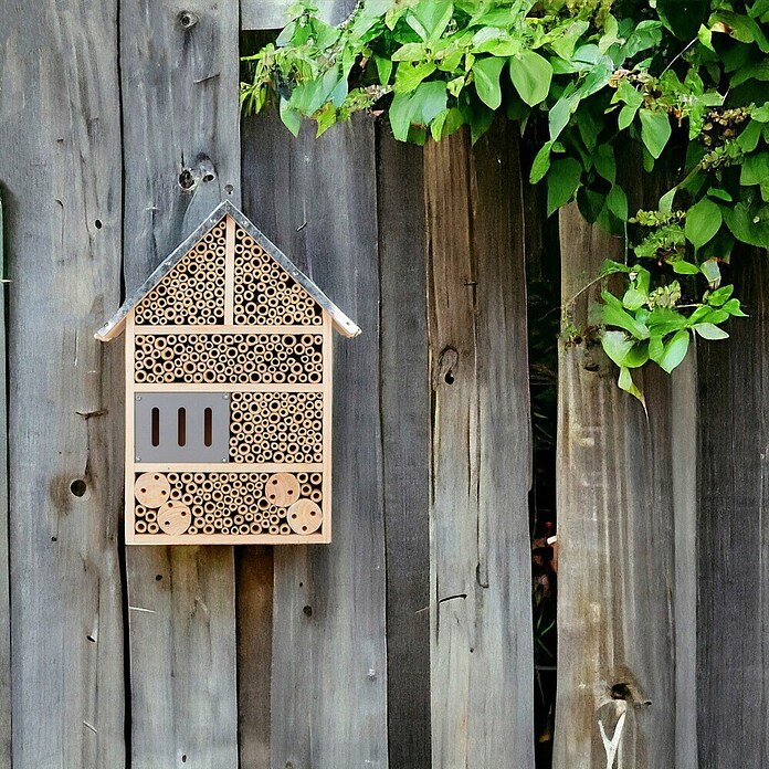 Windhager Insektenhotel Colony (37 x 28 x 9 cm, Braun) | BAUHAUS