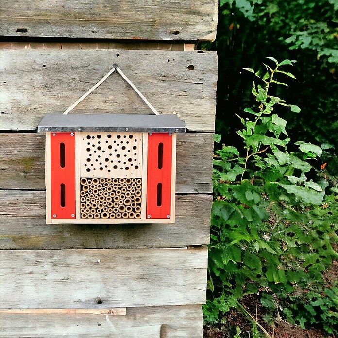 Windhager Insektenhotel Flat (22 x 28 x 10,5 cm, Holz, Braun/ Rot) | BAUHAUS