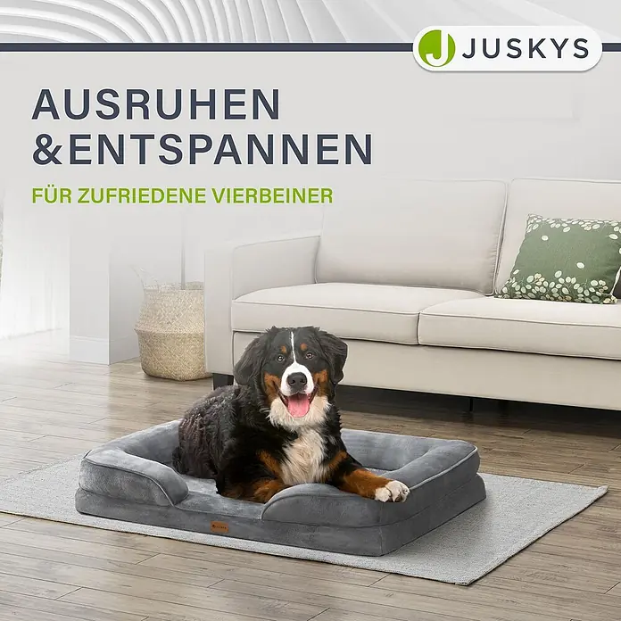 Hundebett Sheena XL -  - Ein glücklicher Berner Sennenhund ruht in einem Plüsch-Hundebett in Grau, auf einem hellen Teppich im Wohnzimmer.