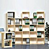 Regalux Regaltür & Rückwand-Set (41,5 x 34,5 cm, Buche)