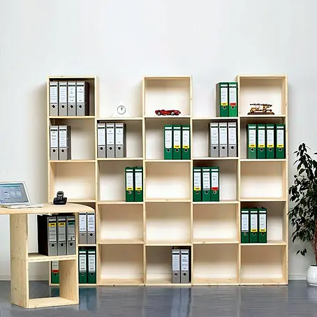 Regalux Regaltür & Rückwand-Set