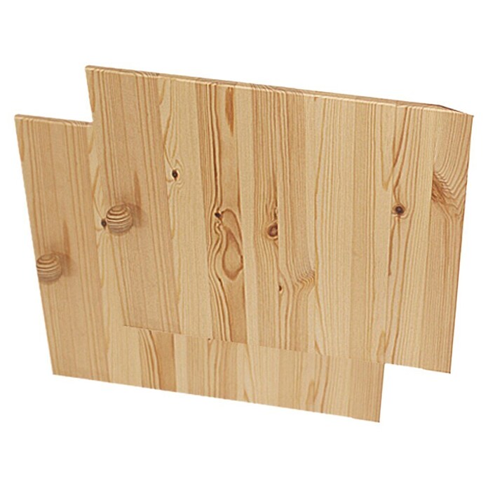 Regalux Regaltür & Rückwand-Set (41,5 x 34,5 cm, Buche)