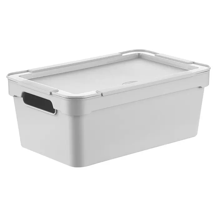 Aufbewahrungsbox Maya - L x B x H: 28,4 x 18,2 x 11,3 cm, Kunststoff, Hellgrau - Weiße Kunststoff-Aufbewahrungsbox mit Deckel und integrierten Griffen.