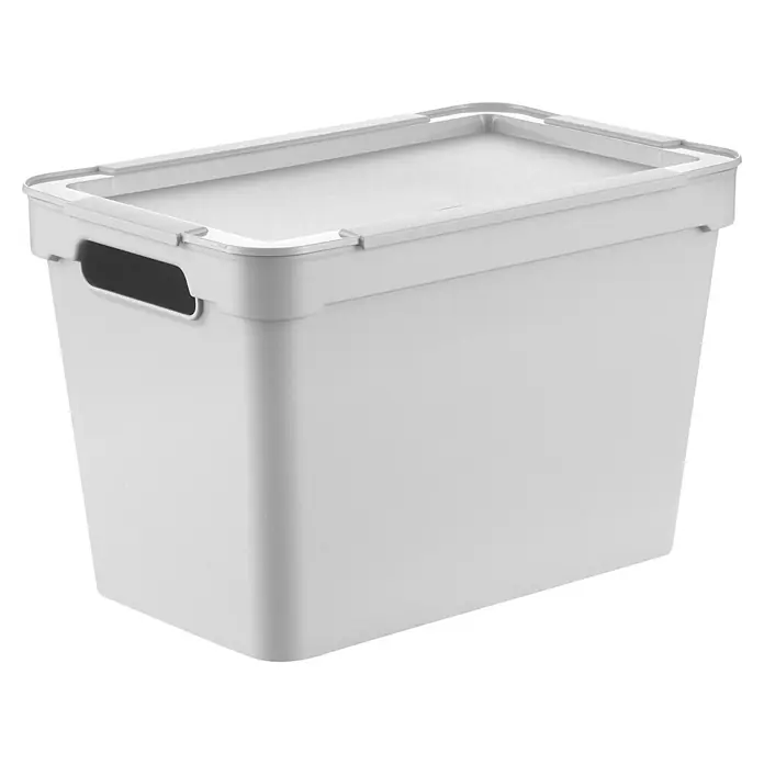 Aufbewahrungsbox Maya - L x B x H: 28,4 x 18,2 x 17,8 cm, Kunststoff, Hellgrau - Hellegraue Kunststoff-Aufbewahrungsbox mit passendem Deckel und integrierten Griffen.