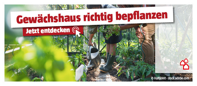 Gewaechshaus mit Pflanzen 