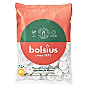 Bolsius Theelicht 4 uur () | BAUHAUS