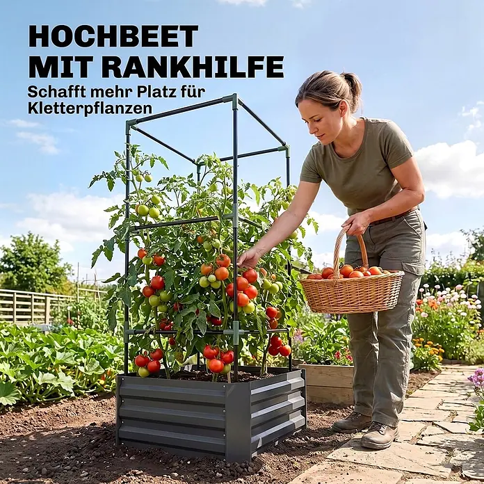 Furnicato Hochbeet mit Tomatenrankgitter aus Stahl, Dunkelgrau -  - Eine Frau erntet reife Tomaten aus einem dunkelgrauen Hochbeet mit schwarzer Rankhilfe, in einem sonnigen Garten.
