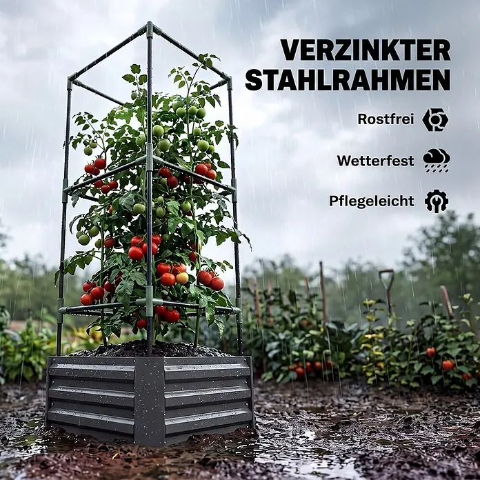 Furnicato Hochbeet mit Tomatenrankgitter aus Stahl, Dunkelgrau -  - Dunkelgraues Hochbeet aus verzinktem Stahl mit Rankgitter, das eine Tomatenpflanze bei Regen stützt. Robust und wetterfest.