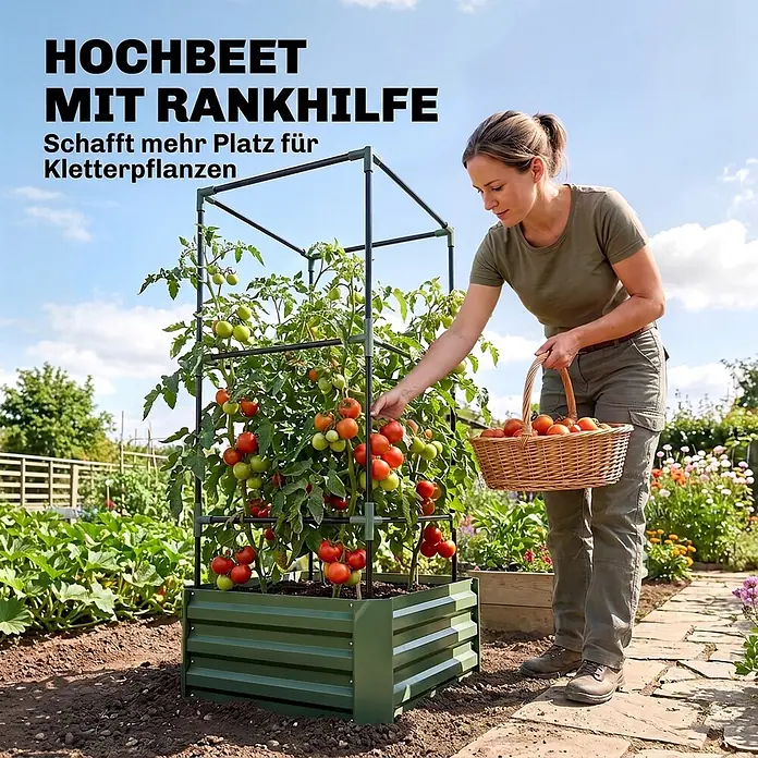 Furnicato Hochbeet mit Tomatenrankgitter aus Stahl, Grün -  - Grünes Metall-Hochbeet mit integrierter Rankhilfe für den Tomatenanbau. Eine Frau erntet reife Tomaten von der Pflanze.