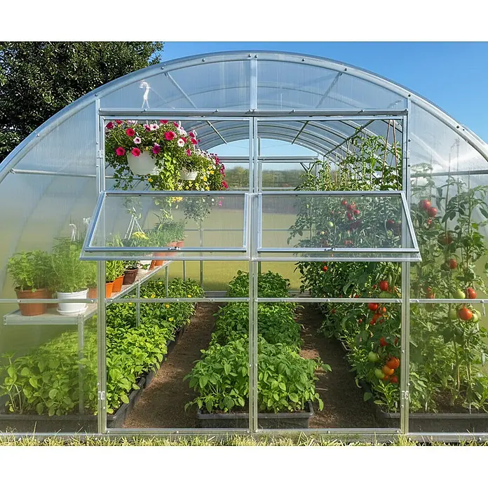 Garten Dream Gewächshaus Sigma - 400 x 800 cm, Material Seitenwand: Kunststoff, 6 mm, Silber - Ein gewölbtes, transparentes Gewächshaus mit silbernem Rahmen, gefüllt mit Pflanzen wie Tomaten, Kräutern und Blumen.