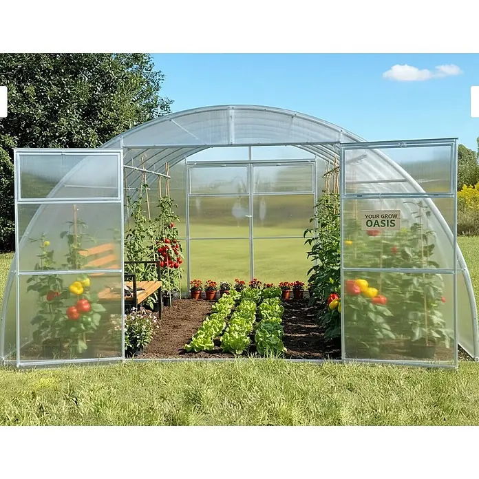 Garten Dream Gewächshaus Sigma - 400 x 1.000 cm, Material Seitenwand: Kunststoff, 6 mm, Silber - Gewölbtes, transparentes Gewächshaus mit Metallrahmen und offenen Türen, das verschiedene Pflanzen wie Tomaten, Paprika und Salat zeigt.