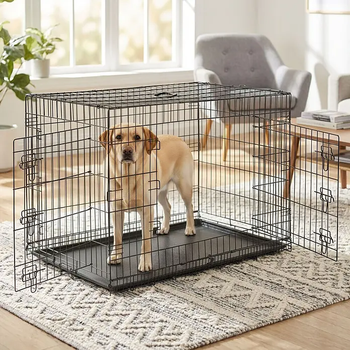 belviona Transportbox - 106 x 71 x 77 cm, Kunststoff, schwarz - Schwarze Draht-Hundebox mit schwarzer Plastikwanne, offen mit einem gelben Labrador auf einem Teppich im Wohnzimmer.