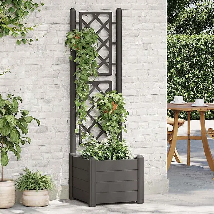 Furnicato Pflanzkübel mit Spalier, PP, Anthrazit, 43 x 43 x 142 cm -  - Dunkelgrauer Pflanzkübel mit integriertem Rankgitter für Kletterpflanzen an einer Terrassenwand.