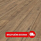 LOGOCLIC Ambienta Laminat  (Hrast Apolo, Rustikalen videz, 1.288 x 195 x 10 mm) | 5143 - Logoclic Ambienta | GCDA - Laminatboden | GCD - Wand Boden Decke Leisten | GC - Wand Boden Decke Leisten | G - Holz/Bauelem | BAUHAUS