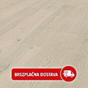LOGOCLIC Aquaprotect Laminat  (Hrast Mistery, Rustikalen videz, 1.288 x 195 x 8 mm) | 5127 - Logoclic Aqua Protect | GCDA - Laminatboden | GCD - Wand Boden Decke Leisten | GC - Wand Boden Decke Leisten | G - Holz/Bauelem | BAUHAUS