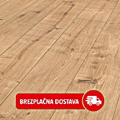 LOGOCLIC Ambienta Laminat  (Hrast Napoli, Rustikalen videz, 1.288 x 195 x 10 mm) | 5143 - Logoclic Ambienta | GCDA - Laminatboden | GCD - Wand Boden Decke Leisten | GC - Wand Boden Decke Leisten | G - Holz/Bauelem | BAUHAUS