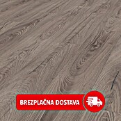 LOGOCLIC Ambienta Laminat  (Venus, Rustikalen videz, 1.288 x 195 x 10 mm) | 5143 - Logoclic Ambienta | GCDA - Laminatboden | GCD - Wand Boden Decke Leisten | GC - Wand Boden Decke Leisten | G - Holz/Bauelem | BAUHAUS