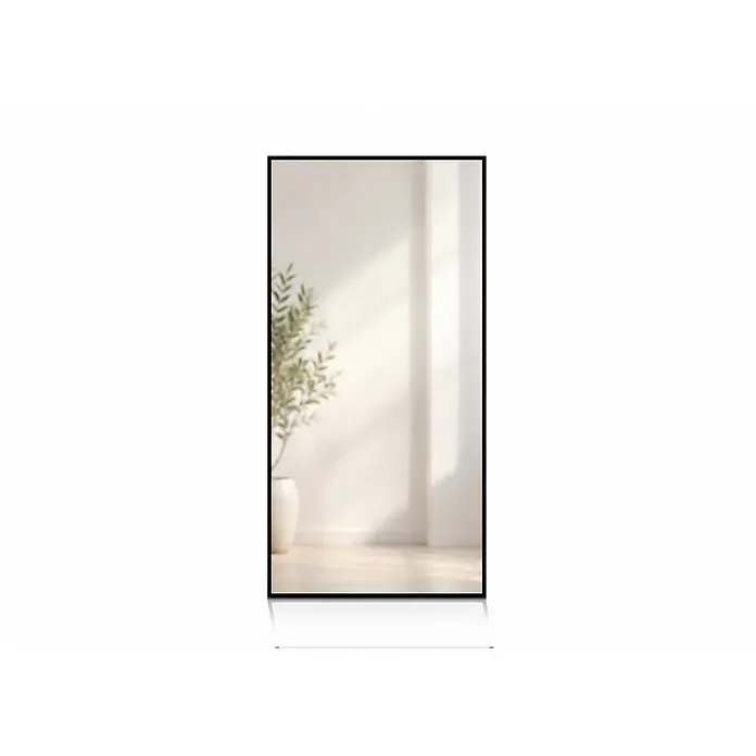 CORDIA PLUS spiegel Rimini Line mit Aluminiumrahmen, mattschwarz eloxiert, 80 × 41 cm -  - Rechteckiger Spiegel mit schwarzem Rahmen, der ein minimalistisches Zimmer mit Pflanze und Tageslicht reflektiert.
