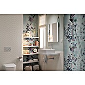 Hansgrohe Pršni drog z ročno prho Activera Eco  (Krom/temno siva, Višina: 67 cm) | 3726 - Brausegarnituren Marke | DAFD - Brausen und Zubehör Marke | DAF - Armaturen Brausen | DA - Badausstattung/Bäderwelt | D - Sanitär | BAUHAUS