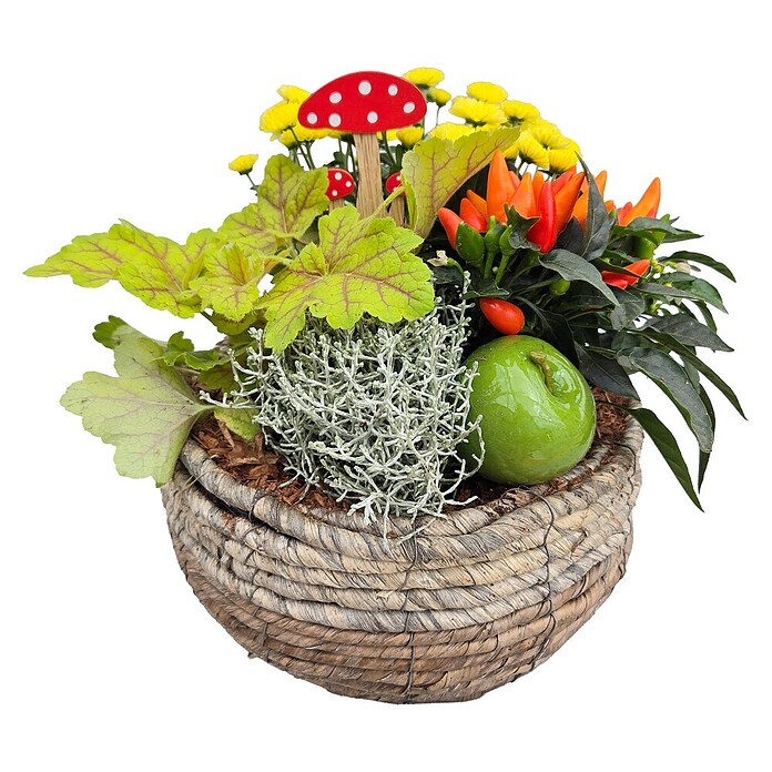 Arrangement Outdoor 13 PG 2