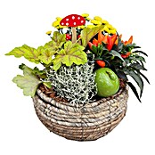 Arrangement Outdoor 13 PG 2