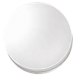 Stabilit Tapijtglijders (30 mm, Lichtgrijs, 8 st., Lijmen)