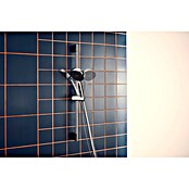 Hansgrohe Pršni drog z ročno prho Activera Eco  (Krom/temno siva, Višina: 67 cm) | 3726 - Brausegarnituren Marke | DAFD - Brausen und Zubehör Marke | DAF - Armaturen Brausen | DA - Badausstattung/Bäderwelt | D - Sanitär | BAUHAUS