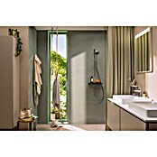 Hansgrohe Pršni drog z ročno prho Activera Eco  (Krom/temno siva, Višina: 67 cm) | 3726 - Brausegarnituren Marke | DAFD - Brausen und Zubehör Marke | DAF - Armaturen Brausen | DA - Badausstattung/Bäderwelt | D - Sanitär | BAUHAUS