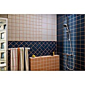 Hansgrohe Pršni drog z ročno prho Activera Eco  (Krom/temno siva, Višina: 67 cm) | 3726 - Brausegarnituren Marke | DAFD - Brausen und Zubehör Marke | DAF - Armaturen Brausen | DA - Badausstattung/Bäderwelt | D - Sanitär | BAUHAUS
