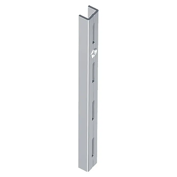 Element System Guía para la pared EL 50 - Largo: 100 cm, Plateado claro, Específico para: Soporte con trama de 50 mm, Sistema de un solo orificio - Soporte de tira de pared metálico ajustable individual con orificios y perfil en U para sistemas de estanterías flexibles.