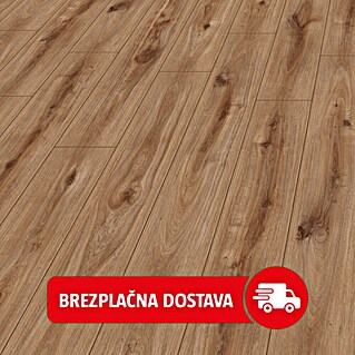 MyStyle MyDream Laminat (Hrast Golden Vista, Rustikalen videz, 1.285 x 192 x 14 mm)