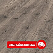 Krono Original Laminat Atlantic 12  (Hrast Steelworks, Rustikalen videz, 1.288 x 195 x 12 mm) | Laminat | Talne obloge | Izdelki | BAUHAUS