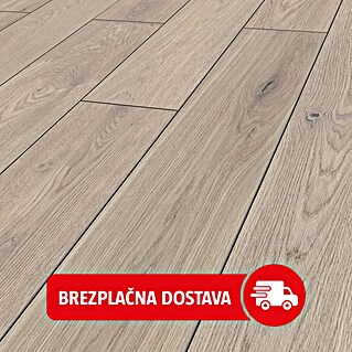 LOGOCLIC Vinto Laminat Classic (Hrast Nassau, Rustikalen videz, 1.288 x 195 x 8 mm)