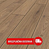 LOGOCLIC Vinto Laminat Classic  (Hrast Greenvale, Rustikalen videz, 1.288 x 195 x 8 mm) | 5140 - Logoclic Vinto | GCDA - Laminatboden | GCD - Wand Boden Decke Leisten | GC - Wand Boden Decke Leisten | G - Holz/Bauelem | BAUHAUS