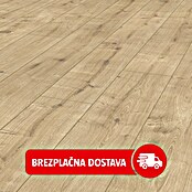 LOGOCLIC Vinto Laminat  (Hrast Milford, Rustikalen videz, 1.288 x 195 x 8 mm) | 5140 - Logoclic Vinto | GCDA - Laminatboden | GCD - Wand Boden Decke Leisten | GC - Wand Boden Decke Leisten | G - Holz/Bauelem | BAUHAUS