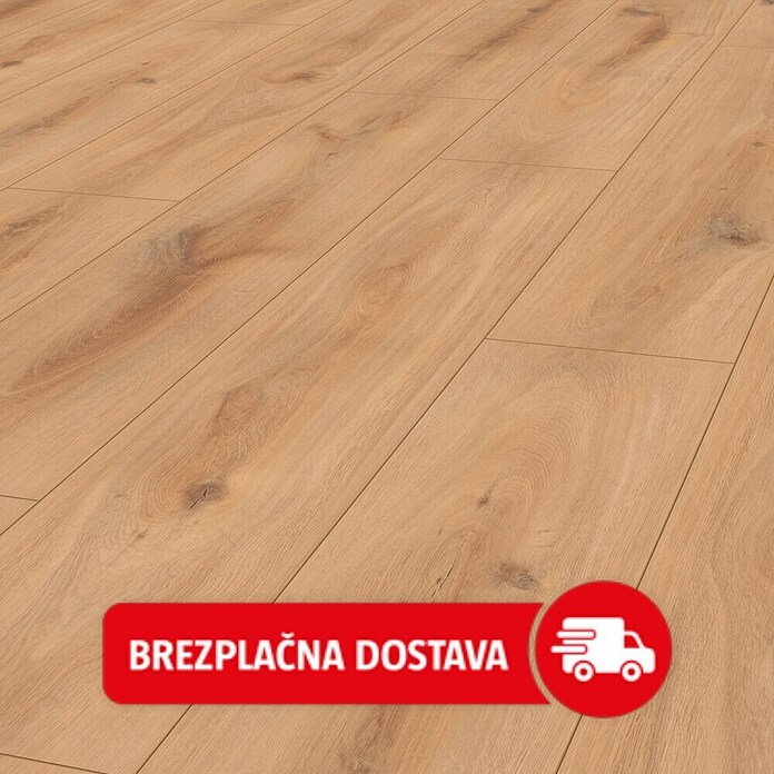 LOGOCLIC Edition Laminat Vinto  (Hrast Sunshine, Rustikalen videz, 1.288 x 245 x 8 mm) | Laminat | Talne obloge | Izdelki | BAUHAUS