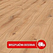 LOGOCLIC Edition Laminat Vinto  (Hrast Sunshine, Rustikalen videz, 1.288 x 245 x 8 mm) | Laminat | Talne obloge | Izdelki | BAUHAUS