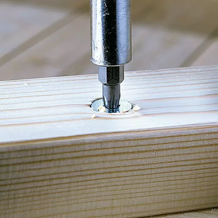 Profi Depot Justierschraube VZ - Durchmesser: 6 mm, Länge: 60 mm, TX für TORX-Antriebe, 100 Stk.