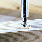Profi Depot Tornillo tirafondo VZ (5 x 17 mm, 200 uds., Galvanizado, TX para accionamientos TORX)