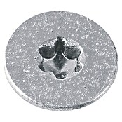 Profi Depot Vijak za ivericu A2  (Promjer: 4,5 mm, Duljina: 50 mm, Plemeniti čelik, TX za TORX pogone, Djelomični navoj, 200 Kom.) | BAUHAUS