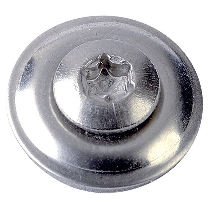 Profi Depot Spenglerschroef A2 (Grootte aandrijving: TX 15, Lengte: 40 mm, Blank, 100 stk.)