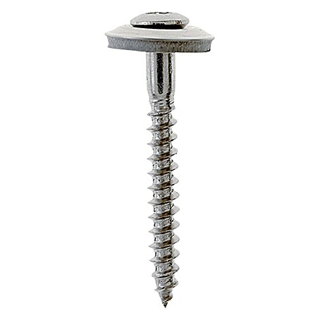 Profi Depot Spenglerschraube A2 (Antriebsgröße: TX 20, Länge: 25 mm, Blank, 100 Stk.)