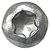 Tornillo para terraza A2 (Diámetro: 5 mm, Largo: 50 mm, Cabezal lenticular, 250 uds.)
