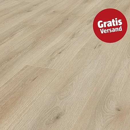 LOGOCLIC Ambienta Laminat