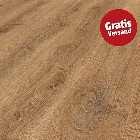 LOGOCLIC Edition Laminat Family
